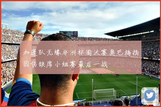 加蓬队无缘非洲杯淘汰赛奥巴梅扬因伤缺席小组赛最后一战